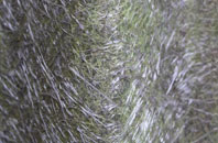 Upper Dounreay fibreglass roof work